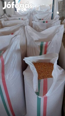 Kukorica és búza eladó 