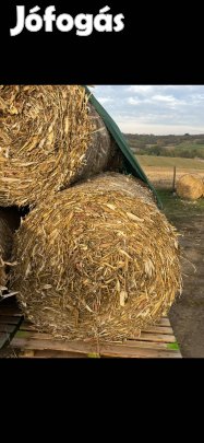 Kukorica kóró körbála eladó