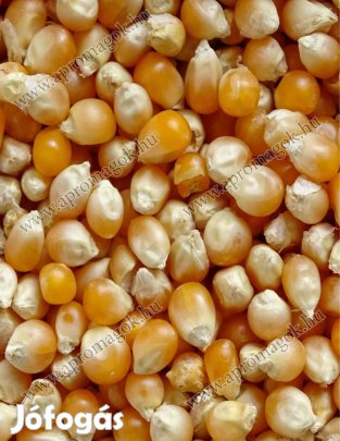 Kukorica popcorn étkezési eladó, akár postai szállítással is