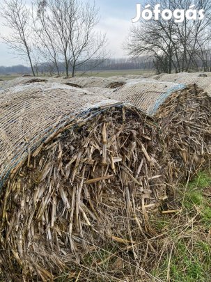 Kukoricaszár, zabszalma, búzaszalma, árpaszalma
