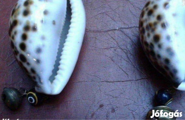 Kulcstartó tengeri kagyló 2 db új