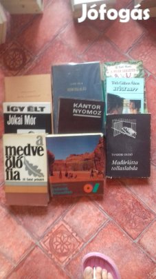 Különböző Magyar írók regényei