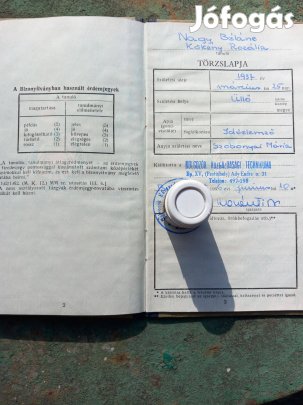 Különböző régi Technikumi Bizonyítvány és oklevél