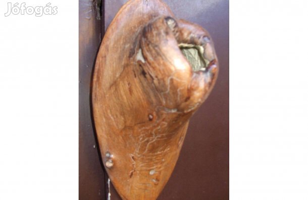 Különleges Fali virágtartó