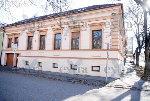 Különleges lehetőség Szeged Belvárosában