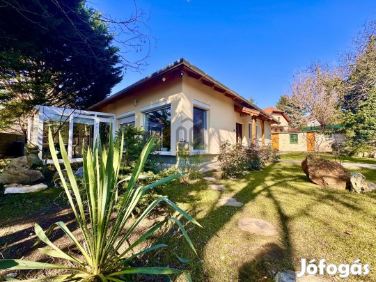 Különleges otthon Dunakeszin  üveg étkezővel, borospincével, Duna par