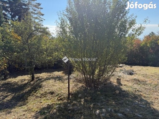 Különleges otthon és kivételes befektetés Pécs-Mecsekoldalon!