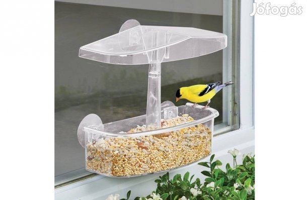 Kültéri Műanyag kerti madáretető 500ml űrtartalom tapadókorong akasztó