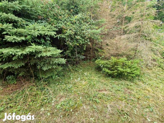 Kustánszegen eladó építési telek!