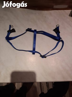 Kutya hámok  S méretben