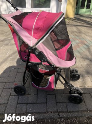 Kutya kocsi kutya cica kocsi