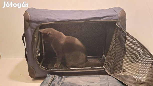 Kutya/macska autós szállítóbox, Anione Wild Variety, 61x43x46 cm