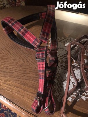 Kutya póráz szíj szájkosár 