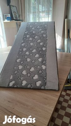 Kutya rámpa ,kutya fellépő