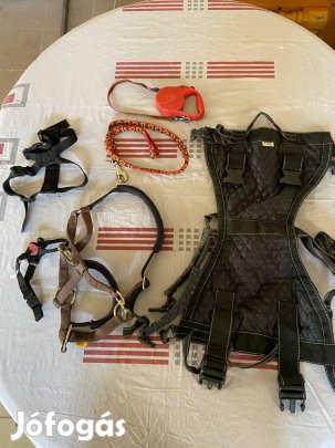 Kutya sétáltató kellékek, több méretben