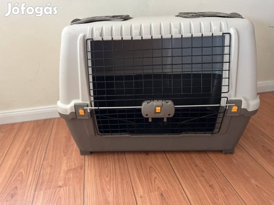 Kutya szállító box