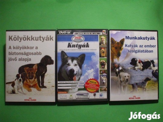 Kutyafajták, kölyökkutyák, munkakutyák DVD