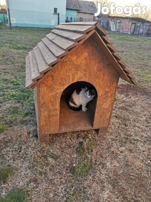 Kutyaház (közepes méret)