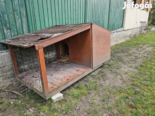 Kutyaház kistestű kutyáknak 