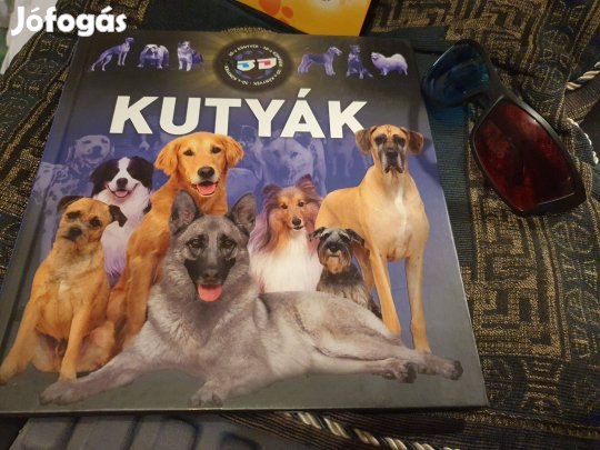 Kutyák - 3D-s, Kutyatár matricás album +ajándék