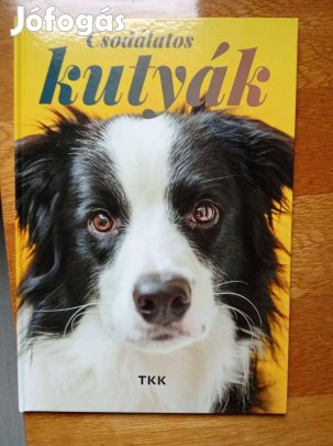 Kutyák képes könyv