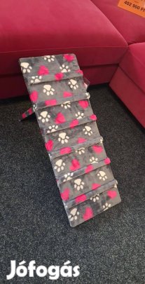 Kutyalétra, kutyarámpa