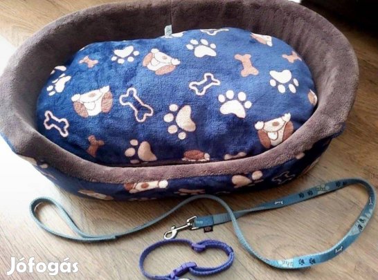 Kutyaöböl, új címke nélkül