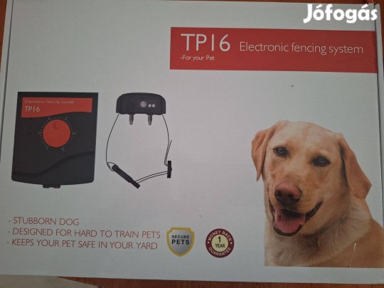 Kutyapásztor eladó