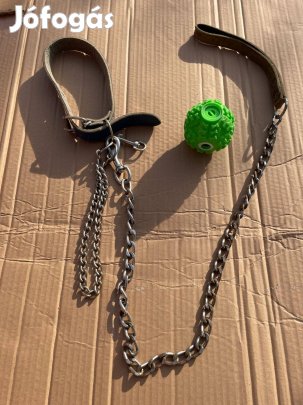 Kutyapóráz, nyakörv