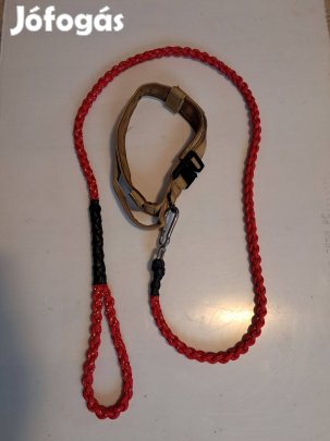 Kutyapóráz, nyakörvel eladó