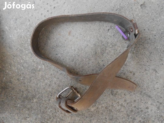 Kutyapóráz nyakörvvel