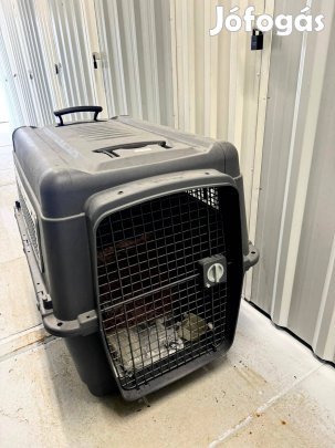 Kutyaszállító box