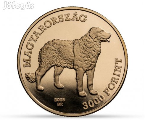 Kuvasz 3000 forint 