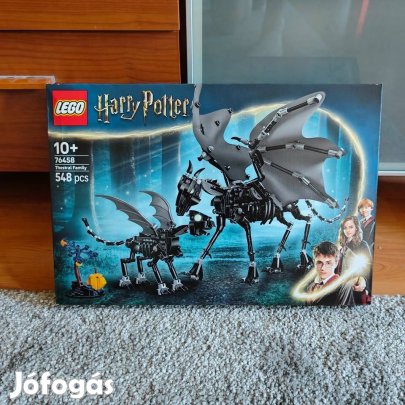LEGO Harry Potter - Thesztrálcsalád 76458