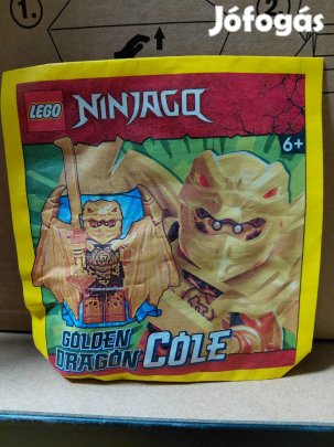 LEGO Ninjago Golden Dragon Cole