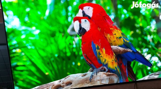 LG OLED 55 C98 Wifis Smart 139cm Okos 4K 