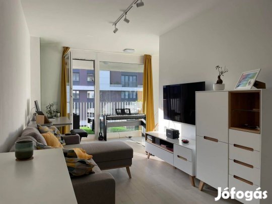 LG OLED A1 55" 55 inch | külföldre költözés miatt nem használt