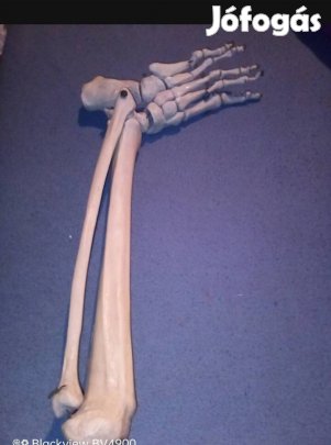 Lábszárcsont dekoráció dísz