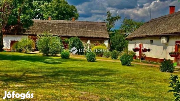 Lajosmizsei 287 nm-es ház eladó