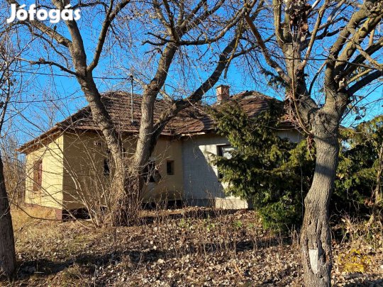 Lajosmizsén 8,1 HA tanya és erdő, gazdálkodásra, állattartásra! 782