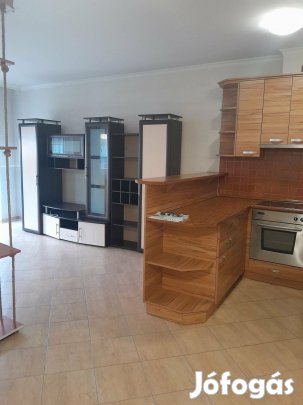 Lakás kertkapcsolattal, teremgarázzsal, tárolóval