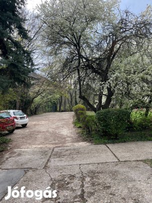 Lakás kiadó Budán!