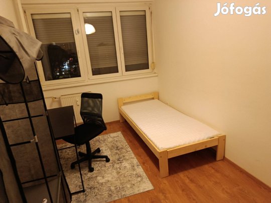 Lakótársat keresünk 2 szobás lakásba