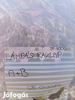 Lámpás raklapos áru