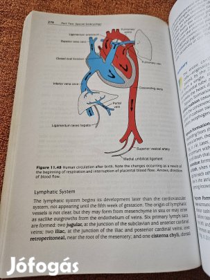 Langman's Medical Embryology Ninth Edition