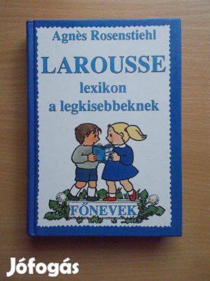 Larousse lexikon a legkisebbeknek - Főnevek, Agnes Rosenstiehl