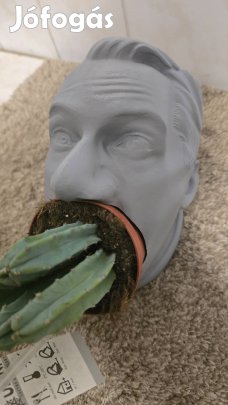 Lázár Jánosra hajazó ültető, kaspó