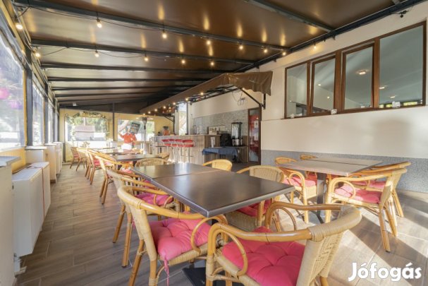 Leányfalu, Móricz Zsigmond út, 435 m2-es, vendéglátó egység utcai