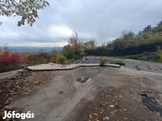 Leányfalui eladó telek