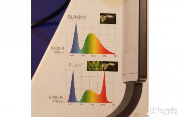 Leddy Smart 2 Sunny akváriumvilágítás